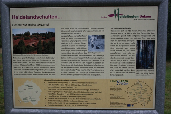 Kopie van lunerburgerheide 029