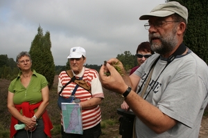 Kopie van lunerburgerheide 040