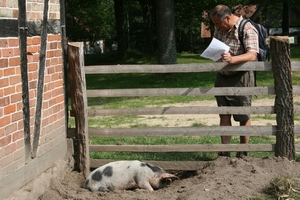 Kopie van lunerburgerheide 057