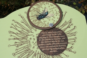 Kopie van lunerburgerheide 090