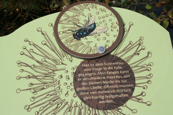 Kopie van lunerburgerheide 090