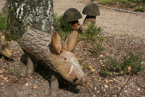 Kopie van lunerburgerheide 106