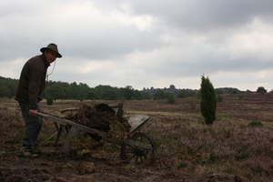 lunerburgerheide 219