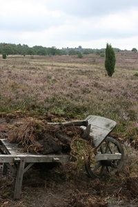 lunerburgerheide 220