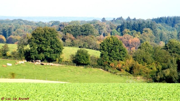 wandeling marche Adeps Onhaye