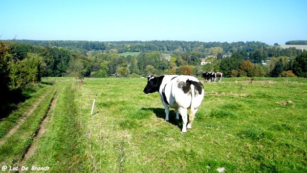 wandeling marche Adeps Onhaye