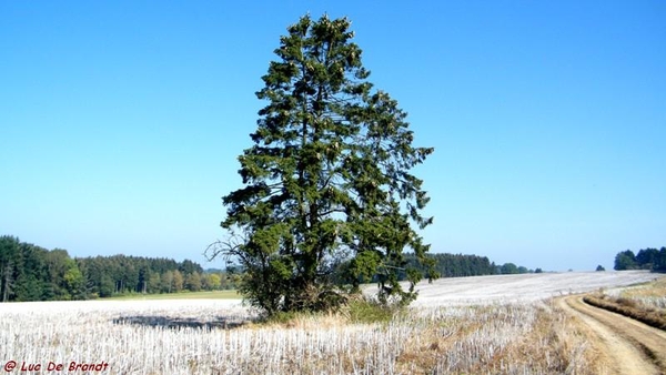 2011_10_02 Onhaye 72