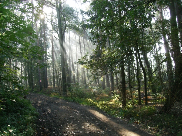 Overslag Wachtebeke Oktober 2011 002