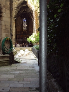 Barcelona 2011 261