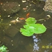 100_2063 (Small)