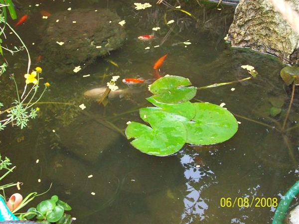 100_2063 (Small)