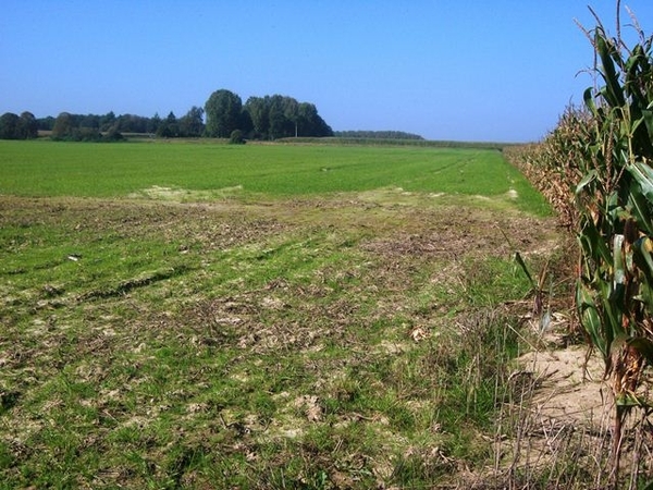 65-Genieten v.d.weidse uitzichten