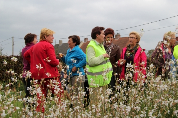 laatste fietsnamiddag 5-10-2011 035