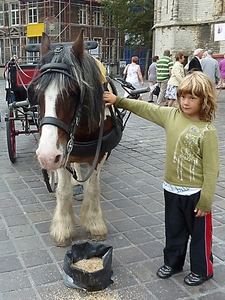 P1020525