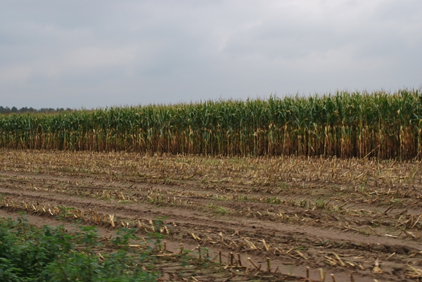 2011-10--04 JanMed Westmalle (27)