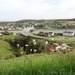 DSC00153 (FILEminimizer)