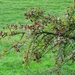 DSC00178 (FILEminimizer)