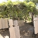 Turkije_2011_1503