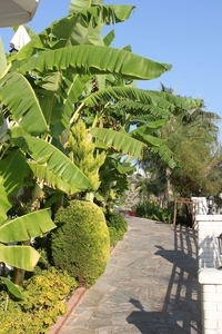 Turkije_2011_1236