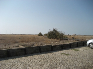 IMG_5657