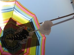 IMG_5690