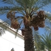 IMG_5765