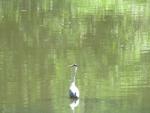 Wandelknooppunten