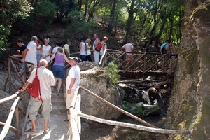 205 Rodos  -  vlindertuin en klooster