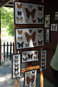 250 Rodos  -  vlindertuin en klooster