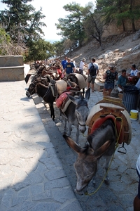 280 Rodos  -  Lindos en acropolis