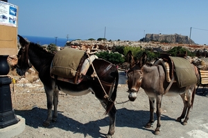 373 Rodos  -  Lindos en acropolis