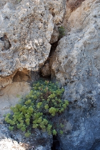 573 Rodos - laatste strandwandeling