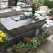 Img_2249