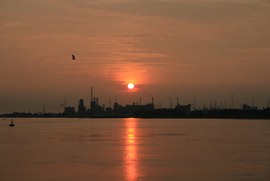 Zonsondergang aan de Schelde in Antwerpen