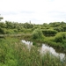 Wandeling in de Hobokense polders