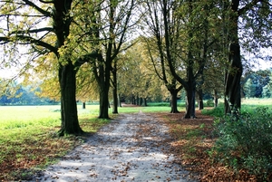 Herfst... een nieuw seizoen