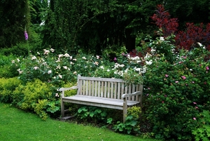 Bankje omringd door bloemen en planten