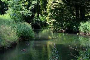 Tijdens een wandeling..