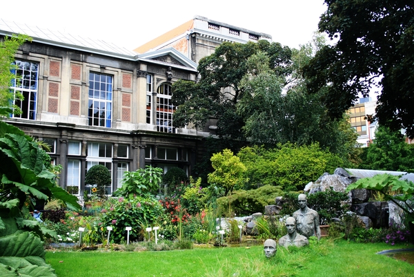 architectuur,bloemen,bomen