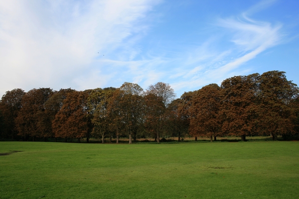 lucht,bomen ,Deurne,Antwerpen
