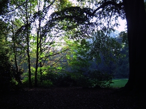 Vroege ochtend wandeling