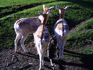 Samen genieten van de vroege zonnestralen