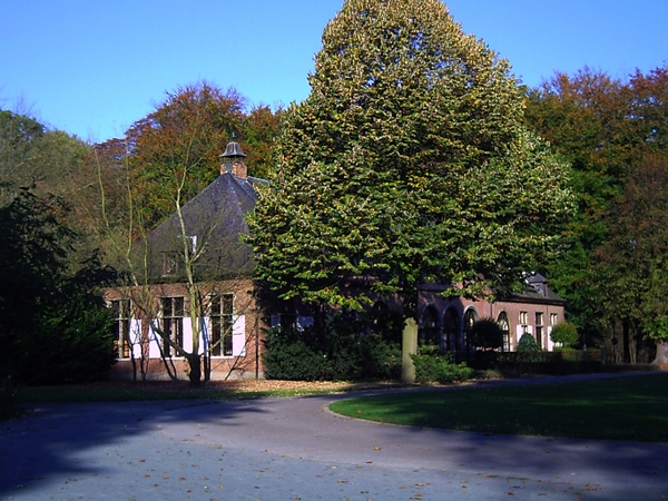 architectuur,bomen