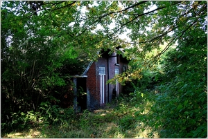 Oude boerderij in het bos