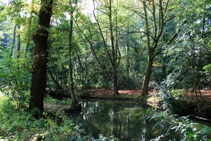 Bouckenborgh Park in Merksem