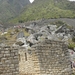 foto s peru 202