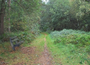 2011-10-09 WANDELING SMULROUTE (100)