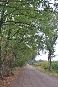 2011-10-09 WANDELING SMULROUTE (19)