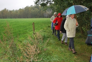 2011-10-09 WANDELING SMULROUTE (54)