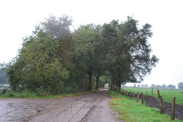 2011-10-09 WANDELING SMULROUTE (66)